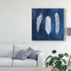 Trademark Fine Art Grace Popp 'Cyanotype Feathers I' Canvas Art, 14x14 WAG06090-C1414GG
